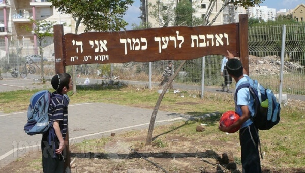 צומצם