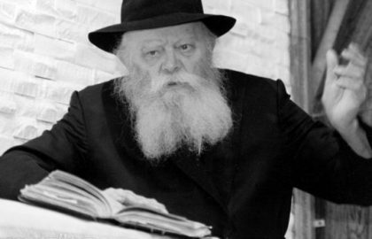 תורת מנחם – חידושים וביאורים למסכת"בבא מציעא"